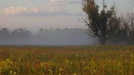 Майбутній нацпарк "Подесіння"