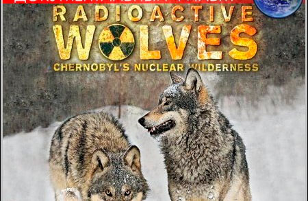 radioactive-volves