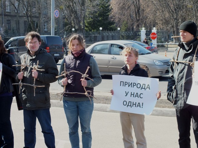 Екологи і науковці розірвали грати біля стін російського посольства