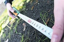 Защитники природы считают закон об упрощении землеотвода угрозой нацбезопасности Украины