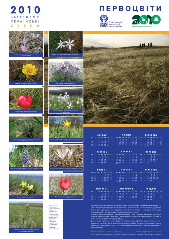 ïëàêàò âåðòèêàëü