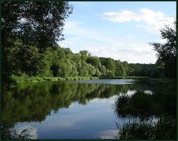 vita-river