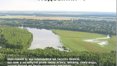 disnbilsheprozapovter