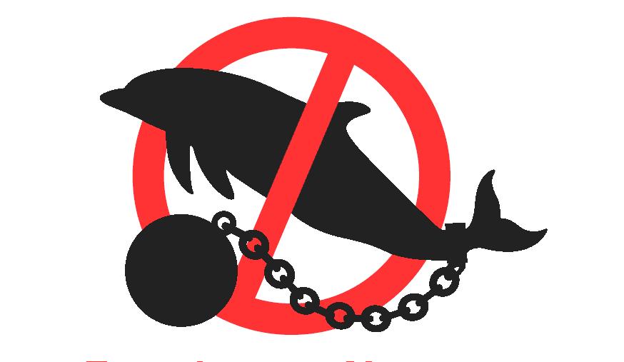 freedolphins