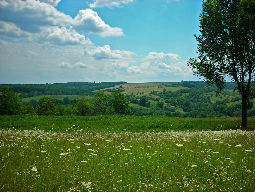 kholodny-yar
