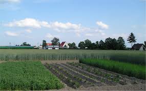 sustainable-agriculture