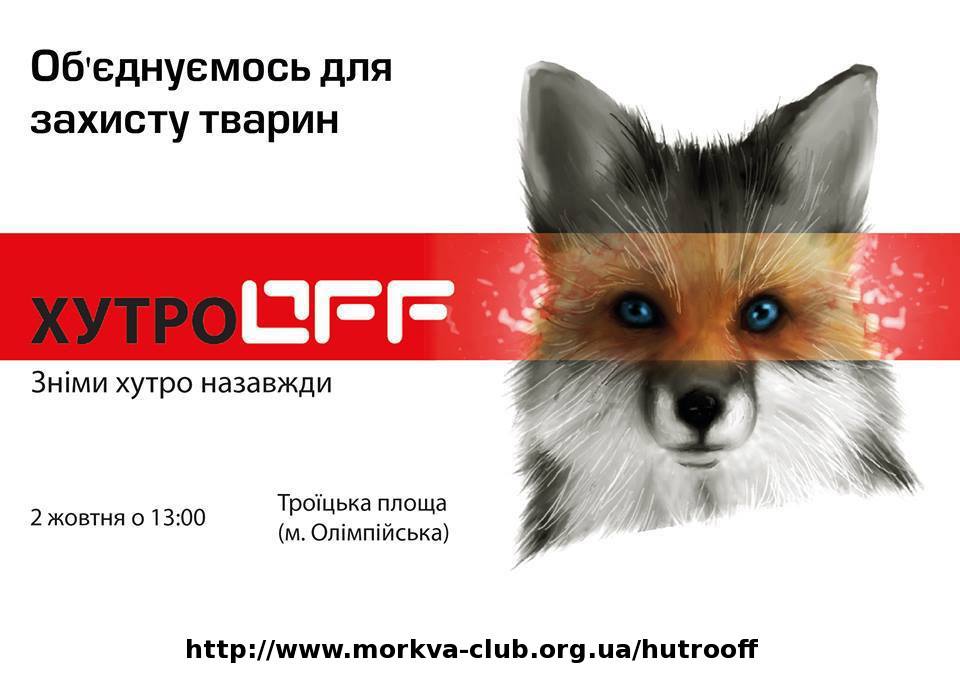 14470861_1176458032428211_860348612_n