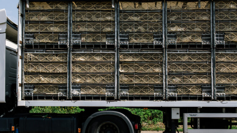 Фото: Niels Ackermann / LUNDI13