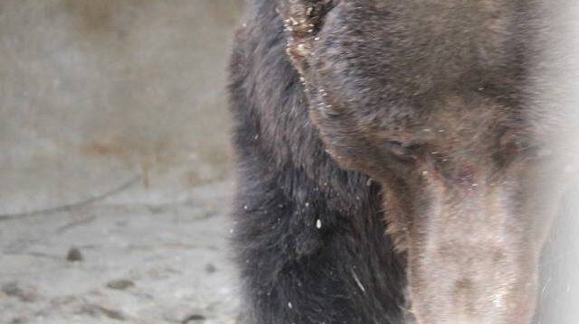 Фото: Lionel De Lange