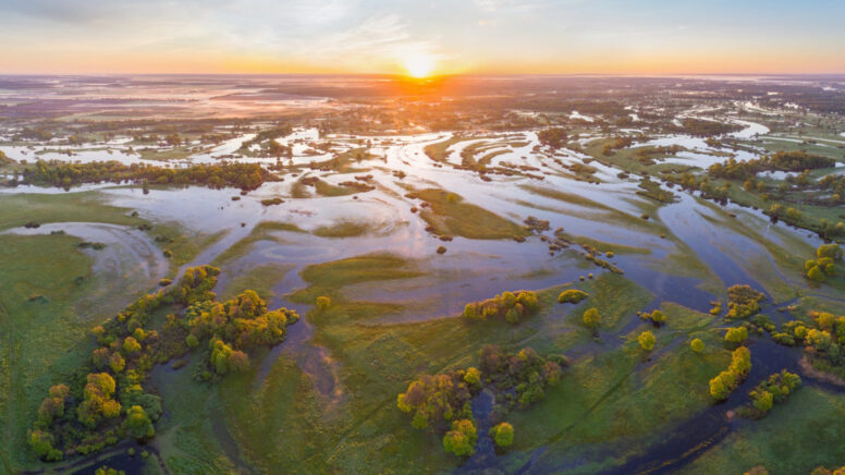 save-polesia-plain-uai-1440×960