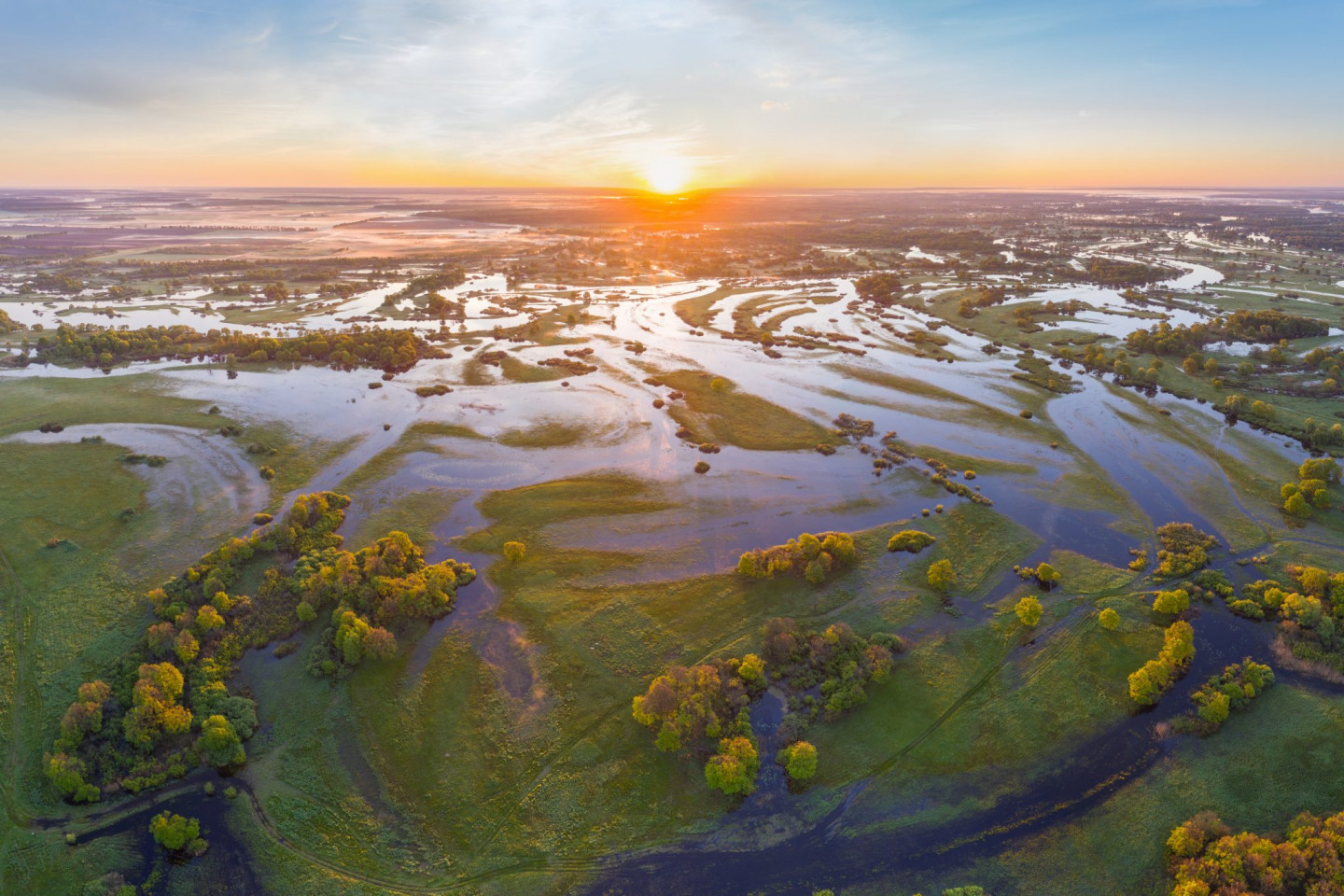 save-polesia-plain-uai-1440×960