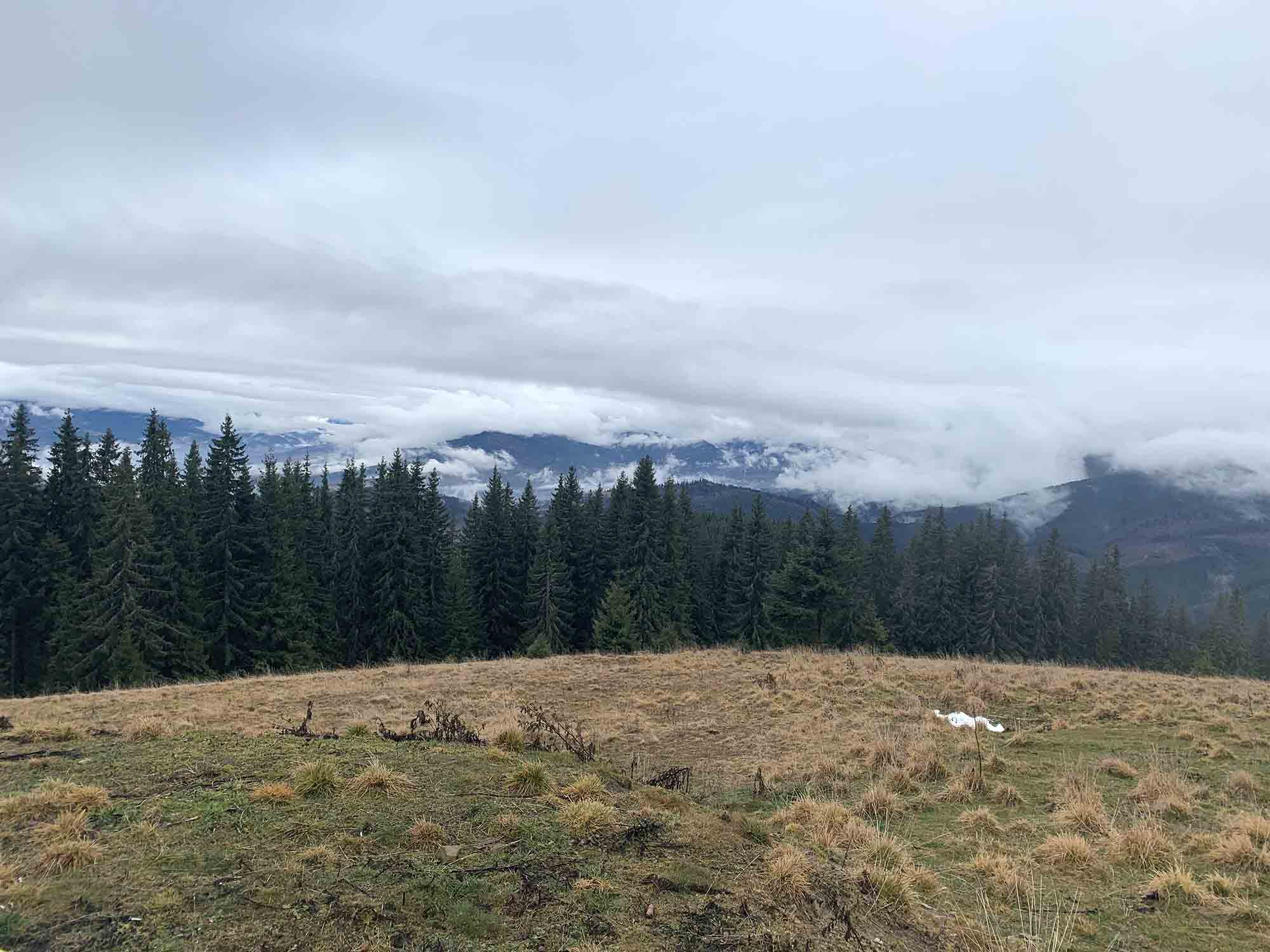 карпати_29_05_2020