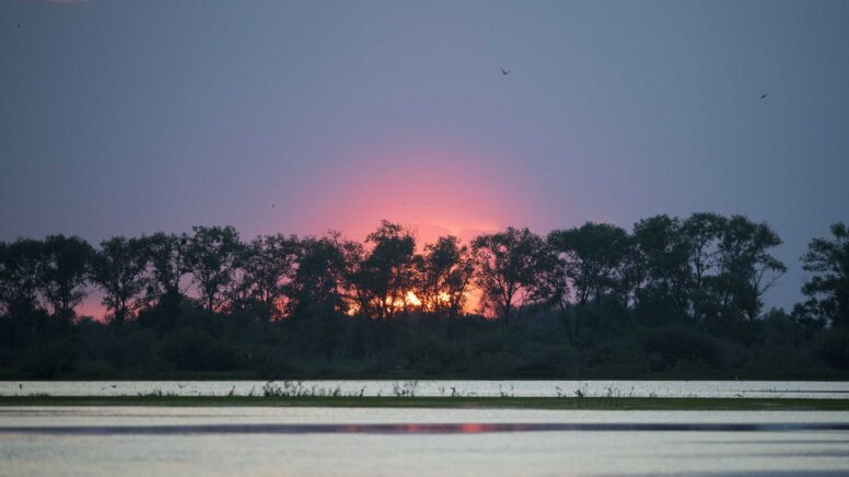 Sunset at the River Pripyat Floodplains 2