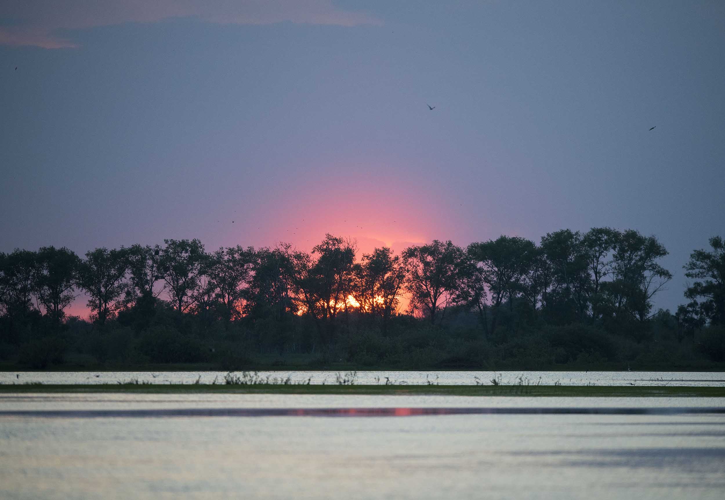 Sunset at the River Pripyat Floodplains 2