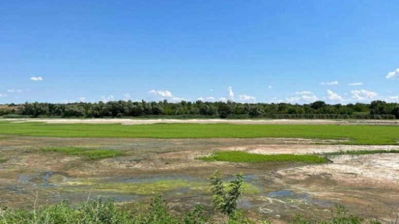 Великий Луг