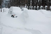 Готовність України до наслідків зміни клімату