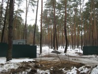 Фото: kotsubynske.org