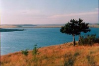 Колектив нацпарку “Тузловські лимани” підтримує проведення джипінгу